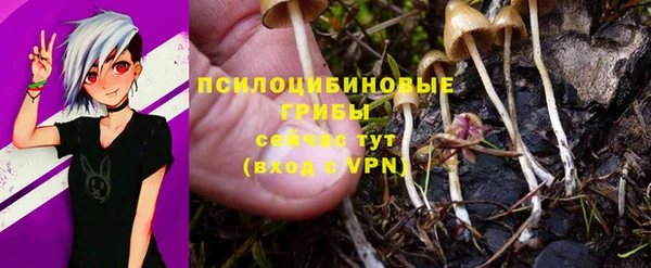 a pvp Майский