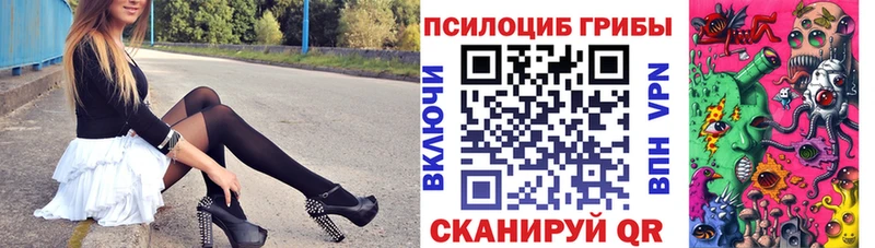 Галлюциногенные грибы GOLDEN TEACHER  Купить  Новочеркасск 